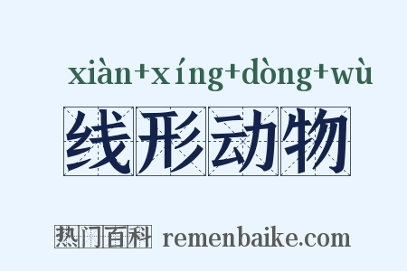 线形动物是什么意思的图片